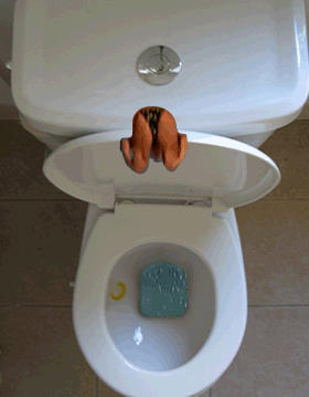 1657105019_mijnprivezwembad.gif.20250439d0e16b2c8dc8ba47a96c9dd7.gif