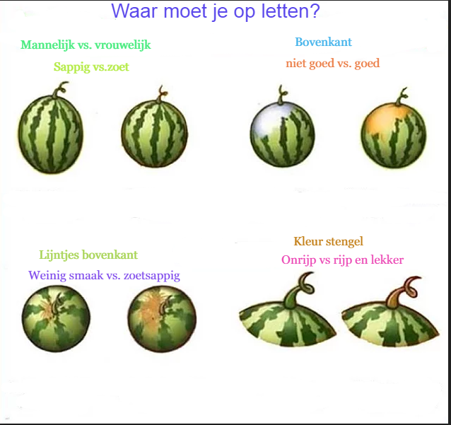 843573303_Watermeloendag4augustus.png.8c14e9dce38a0b63523f3f08dcfffc3f.png