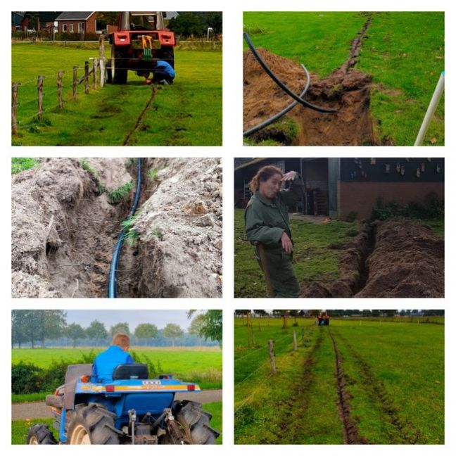 Collage 2020-10-17 13_56_25.jpg