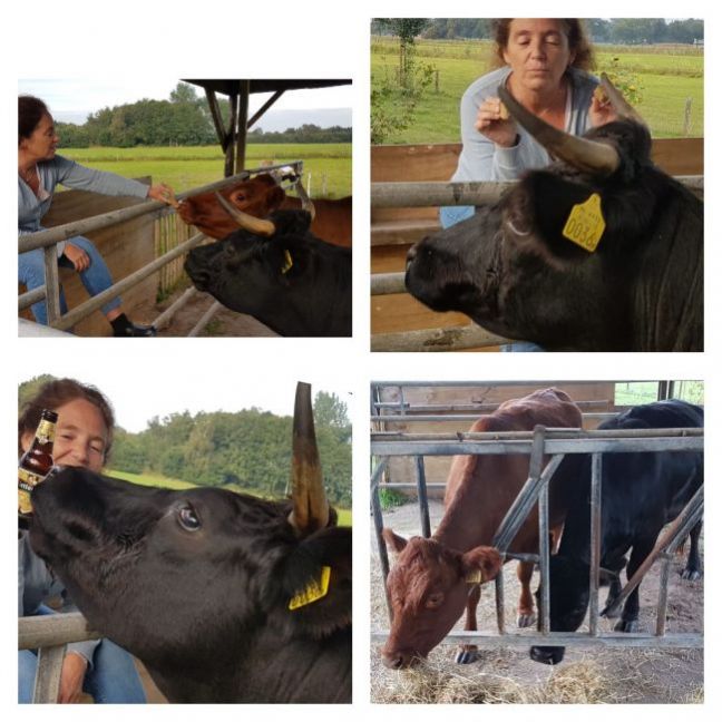 Collage 2020-10-04 06_52_23.jpg