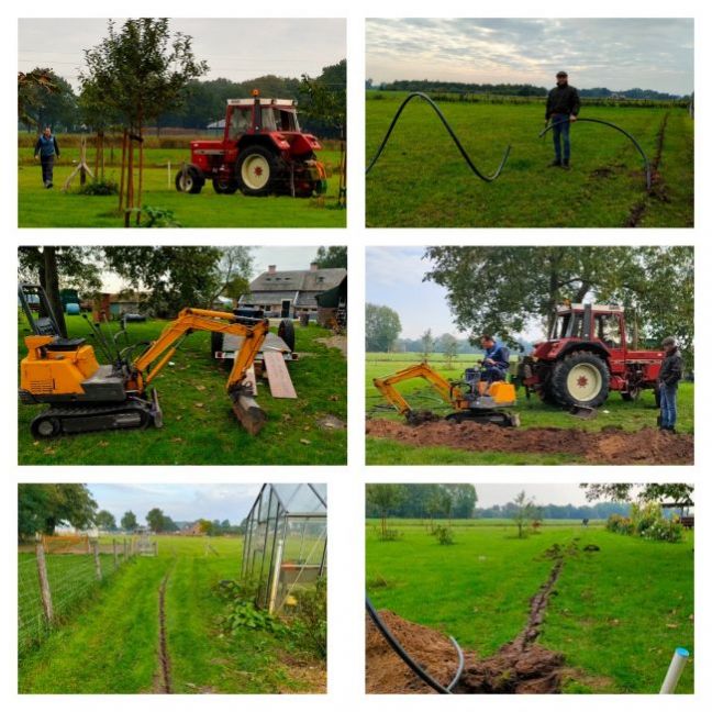 Collage 2020-10-17 13_59_14.jpg