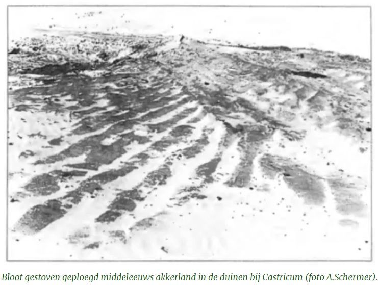 1921065177_Middeleeuwseploegsporen.jpg.b437e73eccf3a4a0036772c3237e3dd0.jpg