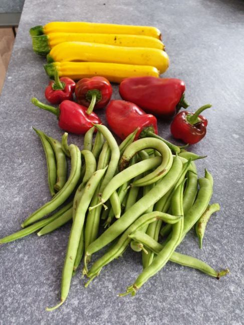 20201009_125857.jpg