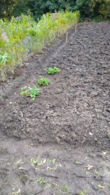 IMG-20201019-WA0007.jpg