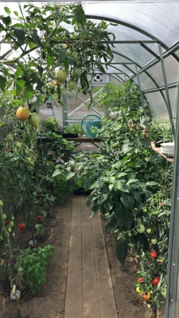 IMG_2147483647 (203).JPG