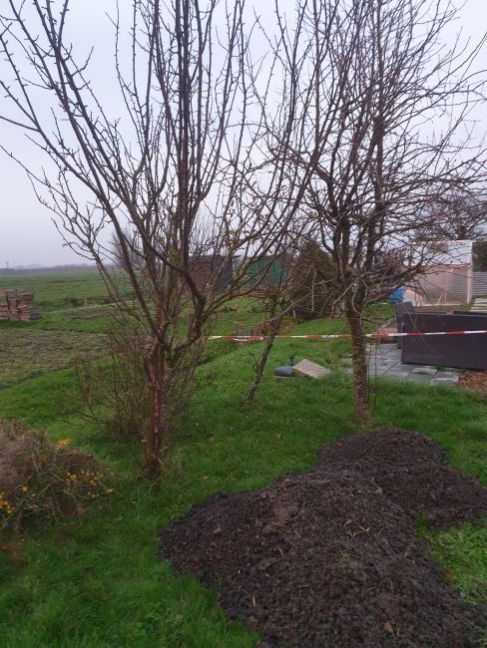 20201206_164110.jpg