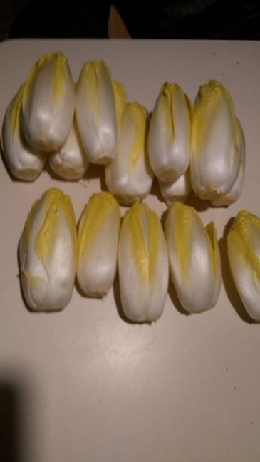 23453f5b-59a6-4f54-a088-011911565444.thumb.jpg.0d142534d6df175f16ec15fd4aa7abc2.jpg