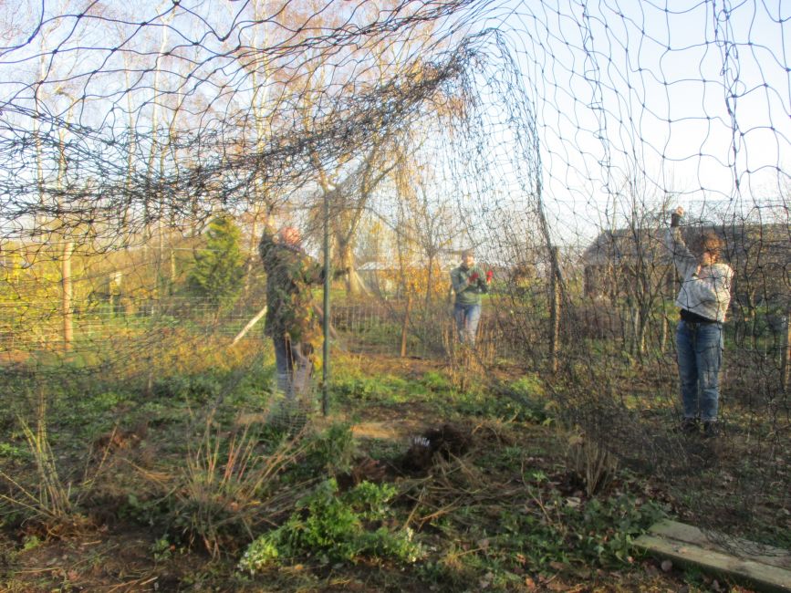 Kippenren bouwen, deel 2 Seizoenen van - Moestuin