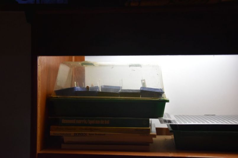 B4606FBB-6E1E-4D6C-8BDD-43DEC285B89B.thumb.jpeg.b84ece75cf3c6464fbf7b2dc7634bb5c.jpeg