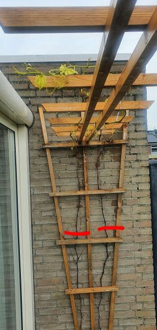 IMG_20210107_174145.thumb.jpg.0bbbab7ae56490a0fb2c92b8c27c258e.jpg