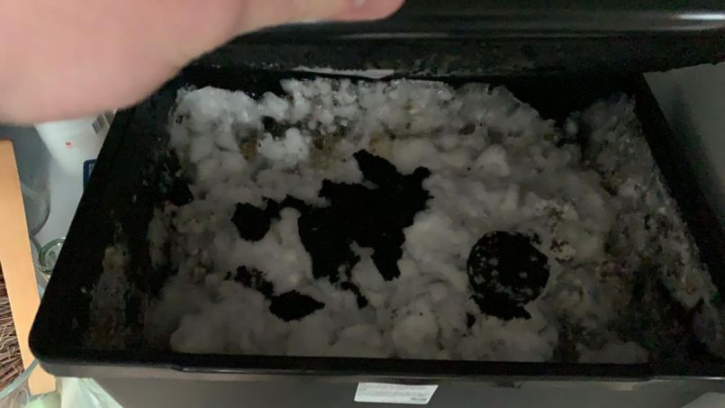 WhatsApp Image 2021-02-03 at 13.44.37.jpeg