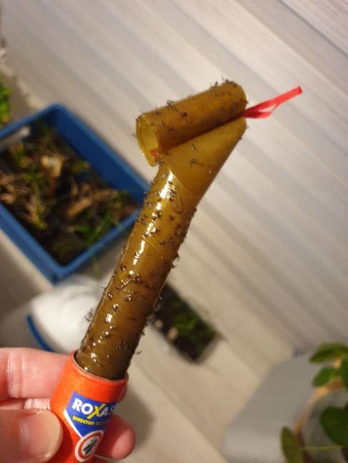 20210211_201349.jpg