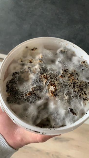 WhatsApp Image 2021-02-03 at 13.43.27.jpeg