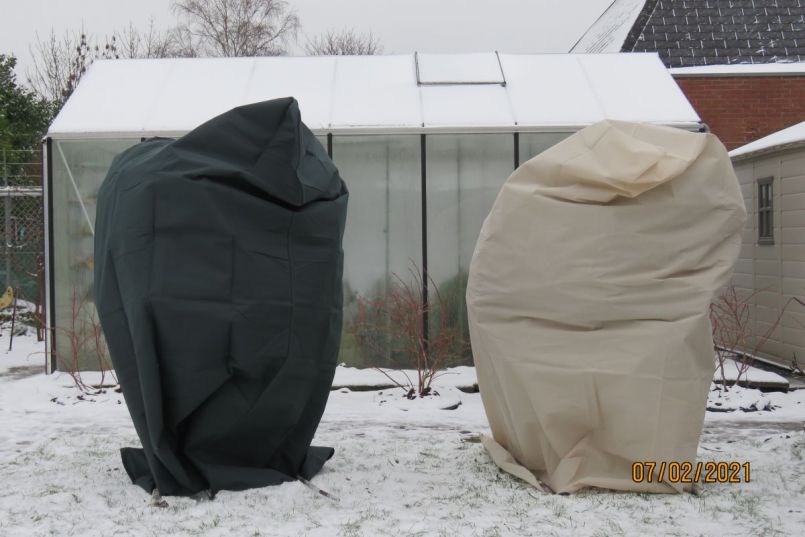 vorst13.thumb.JPG.a4e9389e2026bd5604a4dc22659fb40e.JPG