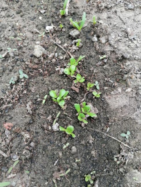 WhatsApp Image 2021-03-25 at 14.27.50 (2).jpeg