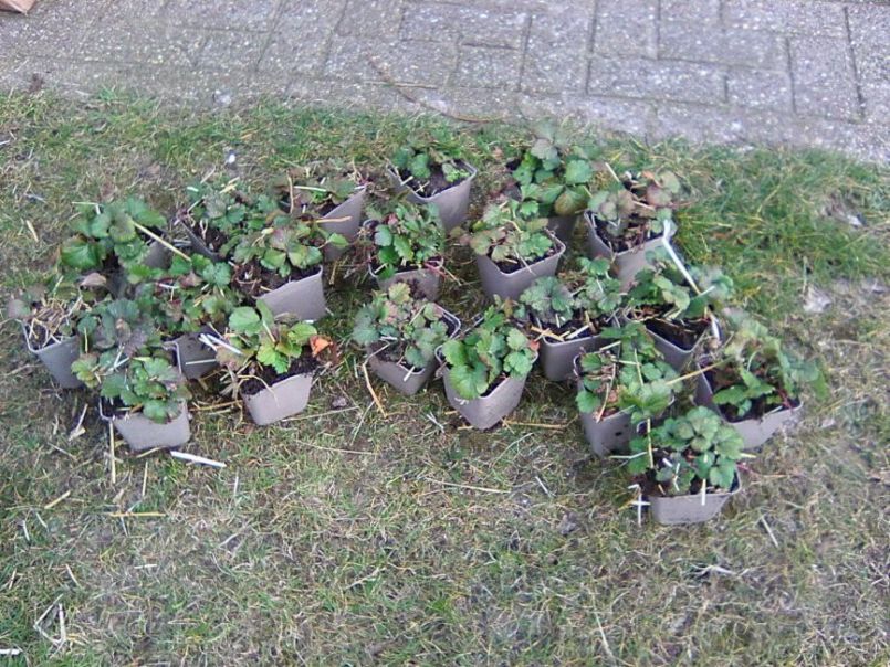 Photo1870.jpg