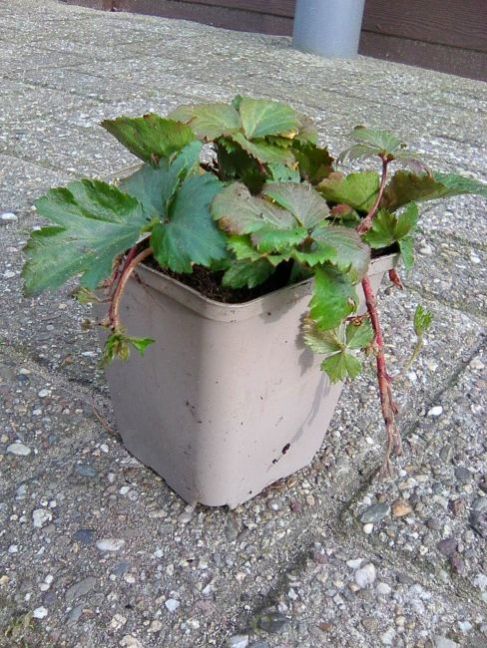 Photo1874.jpg
