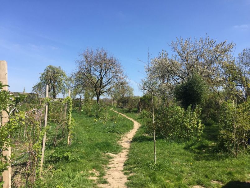 Voedelbos Beek vooraanzicht.JPG