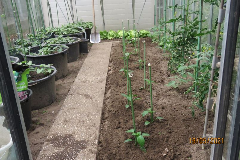 paprika2.thumb.JPG.df1be33f4030c5d2ed03a8a84913001e.JPG