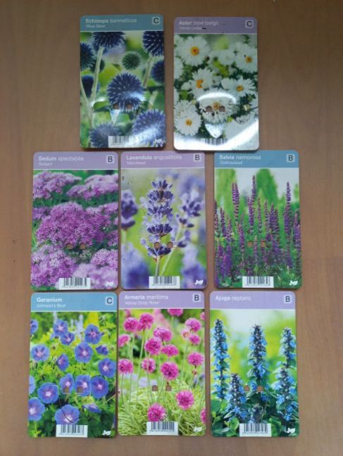 27.06.2021 geplant.jpg