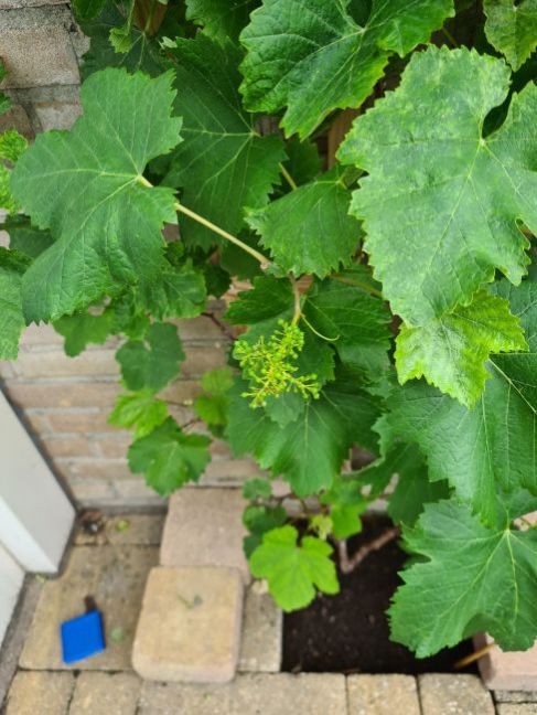 20210629_164634.jpg