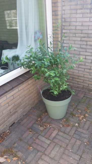 WhatsApp Image 2021-06-19 at 09.16.13.jpeg