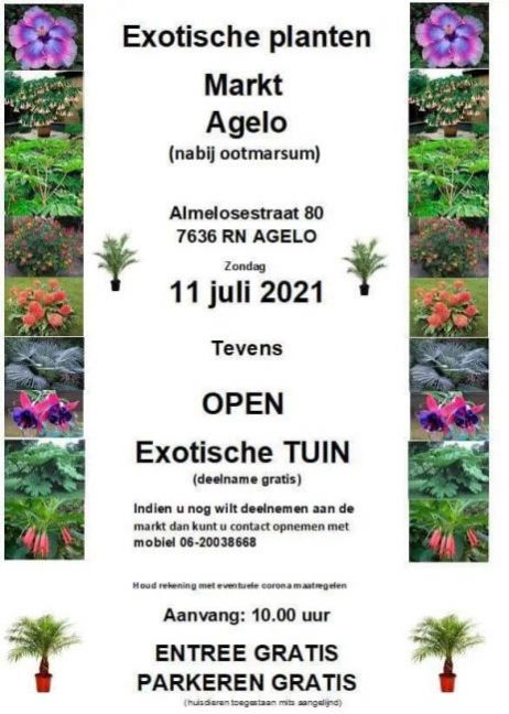 Agelo.thumb.jpg.600d18af1f40f45cbff5c55f66f404f9.jpg