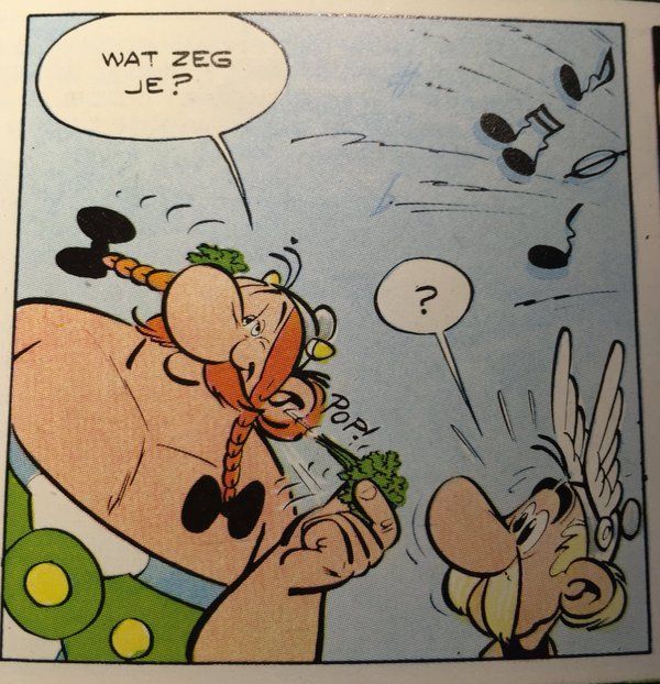 Asterix-en-Obelix.jpg.1b5870b16f39abb8ed709e25cd36deb4.jpg