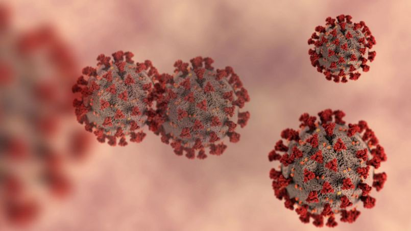 coronavirus.thumb.jpg.d1e0ce6185a2f28fa2e900cc303c18c2.jpg