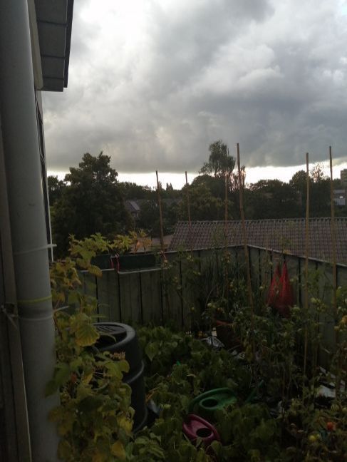 1029175654_jahoorkomtweereenbui.thumb.jpg.00382e0a962a1354bf1eadac1d1840e8.jpg