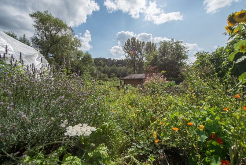18_moestuinjungle.thumb.jpg.846474e5e698b128fd59180dcb5ea038.jpg