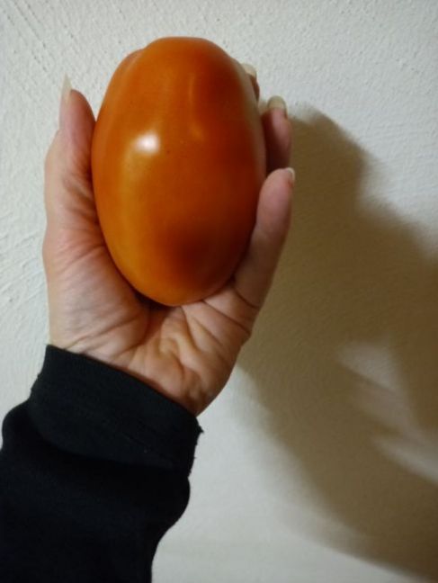 20210819_210857.thumb.jpg.9c2350059238293d95b47d95c3ee00c7.jpg