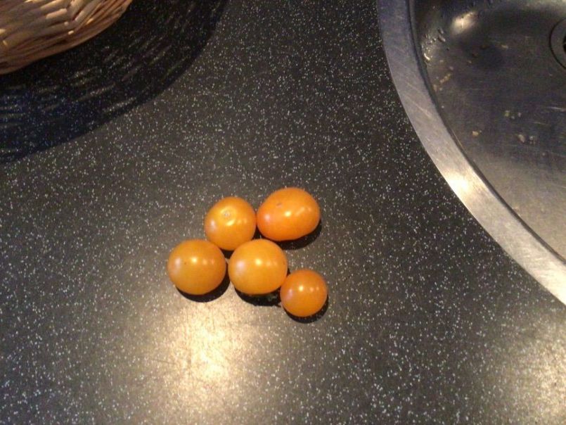 image.thumb.jpg.35849dc1f4012caa207f15880ec29bd4.jpg