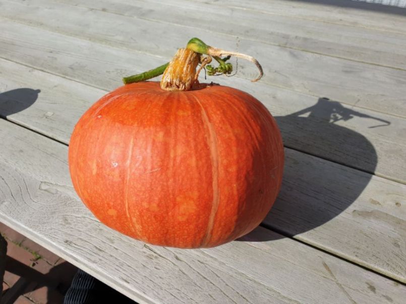 20210928_132733.jpg