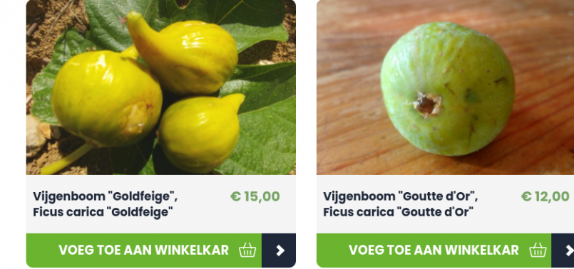 Screenshot 2021-09-23 17.45.26.png