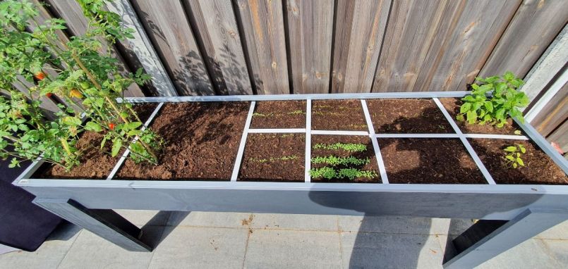 2021-09-14 13.46.43.jpg