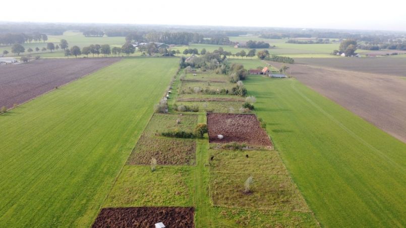 DJI_0357.JPG