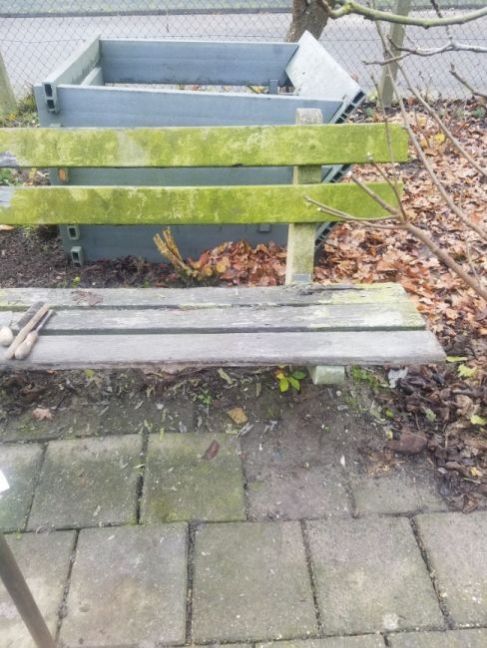20211123_135031.thumb.jpg.20bd1566eb3c65c6b956e686039c03d1.jpg
