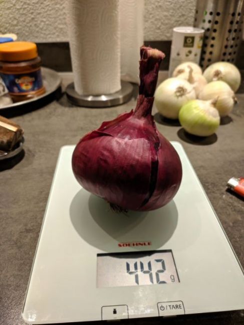 MVIMG_20191105_195822.jpg