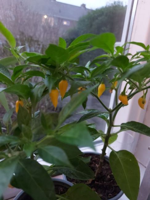 20220121_171635.jpg