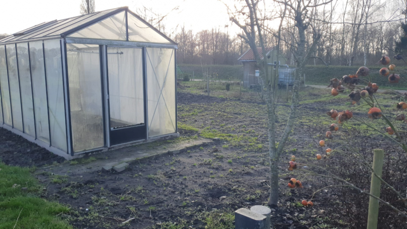 foto-tuin.thumb.png.a0d9d42edaa41f6255f01d5226000564.png