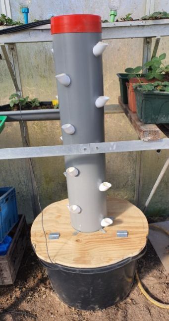 Aeroponics.jpg