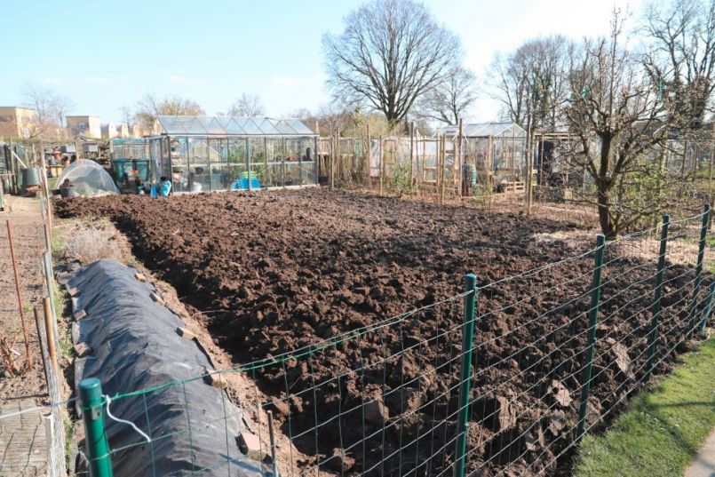 tuin_20220326.JPG