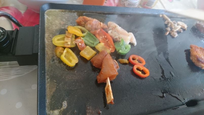 DSC_0870.JPG