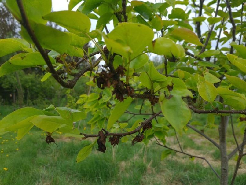 WhatsApp Image 2022-05-03 at 9.58.45 AM.jpeg