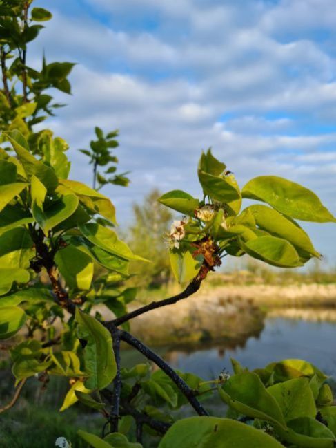 WhatsApp Image 2022-05-03 at 10.45.30 AM.jpeg