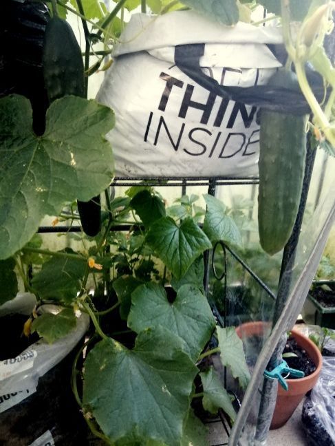 Met het weekend voor de deur.jpg