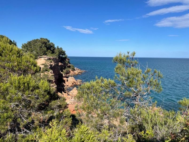 PHOTO-2022-06-02-11-17-21 (11).jpg