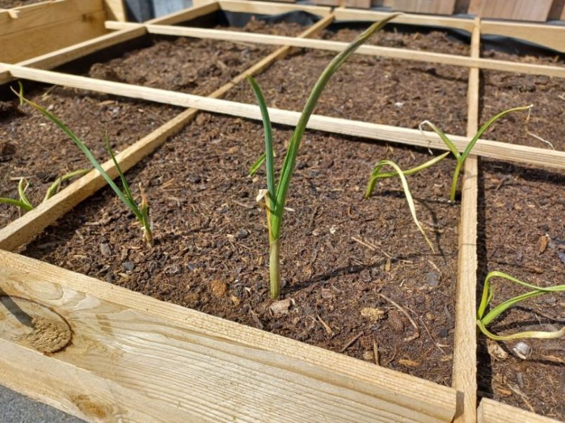 WhatsApp Image 2022-06-25 at 3.42.30 PM (2).jpeg