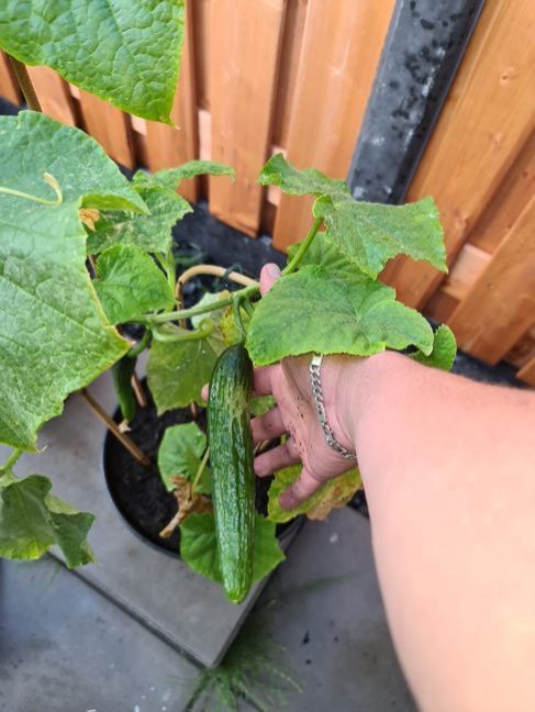 WhatsApp Image 2022-06-25 at 3.53.02 PM (3).jpeg